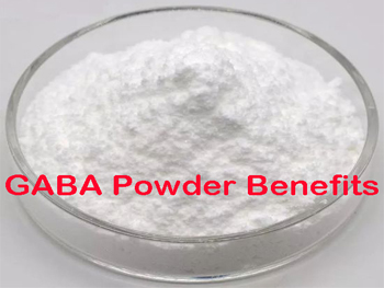 What Does Gamma Aminobutyric Acid (GABA) Powder Do?